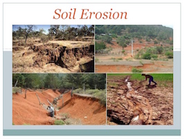 Soil Erosion and Flood Control